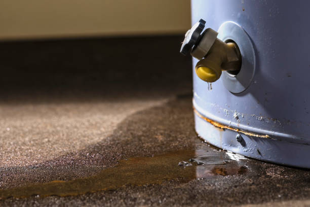 Best Ceiling water damage repair  in Mena, AR