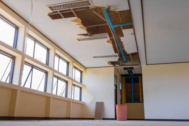 Best Sewage cleanup and water damage restoration  in Mena, AR