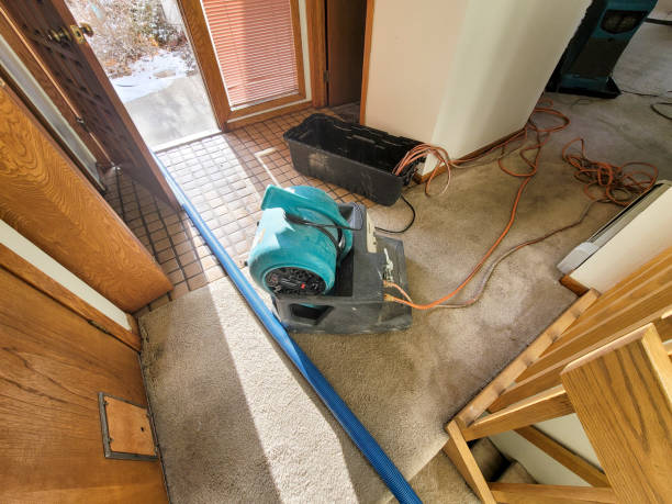 Best Flooded house restoration  in Mena, AR