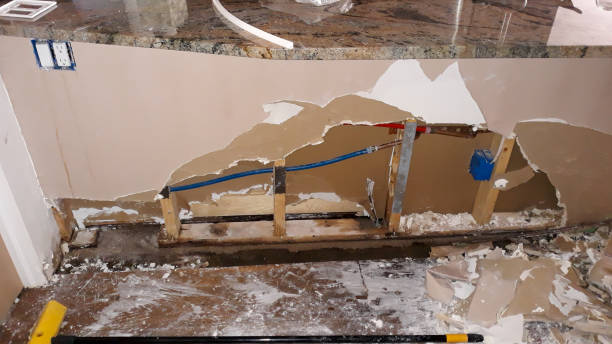 Best Flood restoration services  in Mena, AR