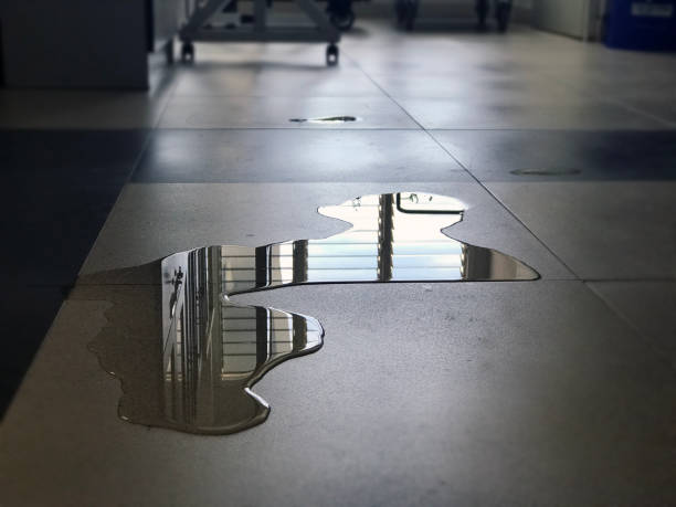 Best 24/7 water damage repair  in Mena, AR