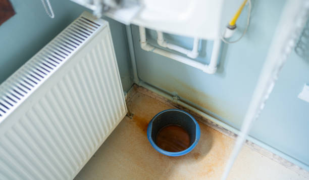 Best Mold removal after water damage  in Mena, AR