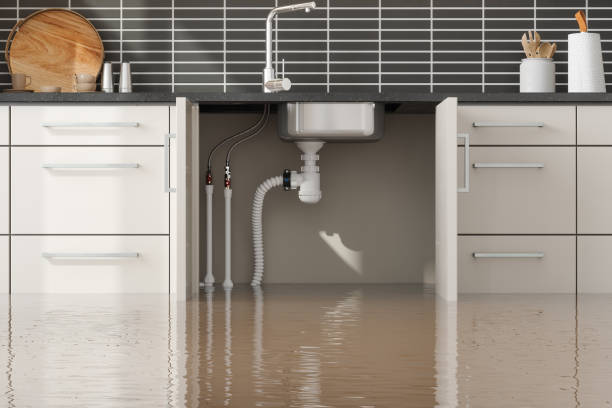 Best Water damage mitigation services  in Mena, AR